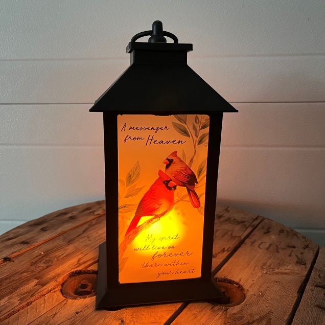 Lantern 13 Cardinal